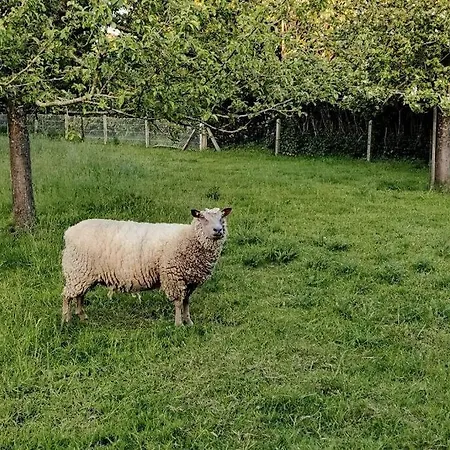 Escapade Normande - Entiere Bord De * Saint-Martin-aux-Buneaux